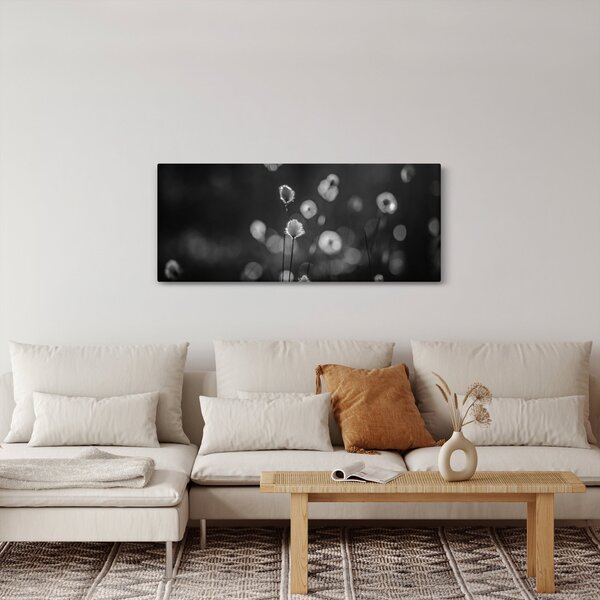 Obraz - Cottongrass na lúke (120x50 cm)