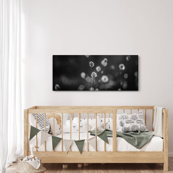 Obraz - Cottongrass na lúke (120x50 cm)