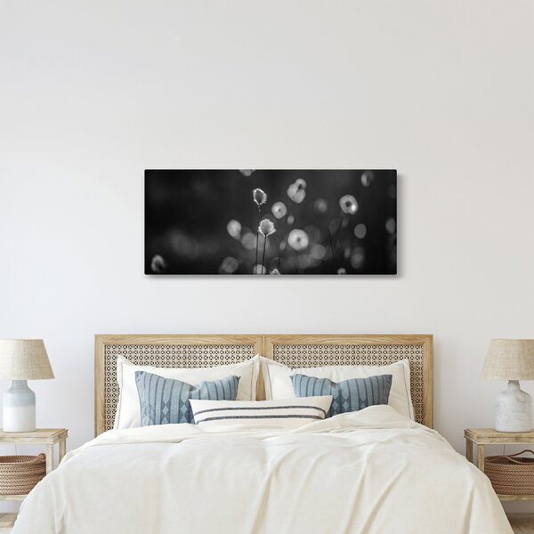 Obraz - Cottongrass na lúke (120x50 cm)