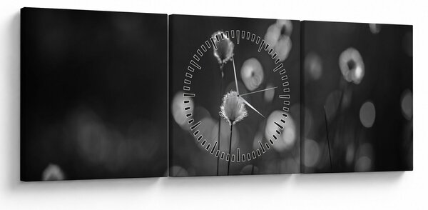 Obraz - Cottongrass na lúke (s hodinami) (90x30 cm)