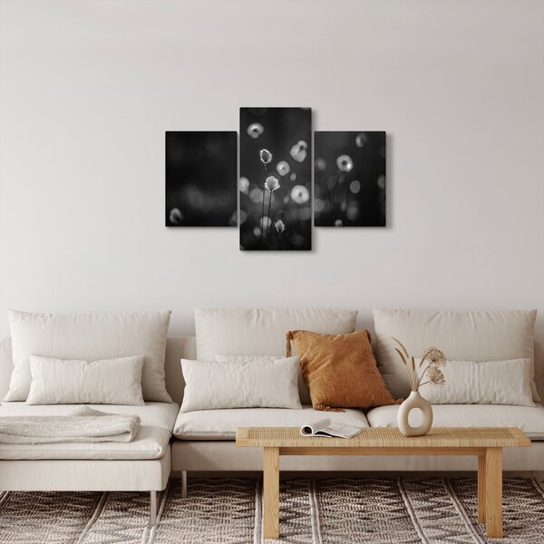 Obraz - Cottongrass na lúke (90x60 cm)