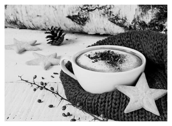 Obraz - Zimné cappuccino (70x50 cm)