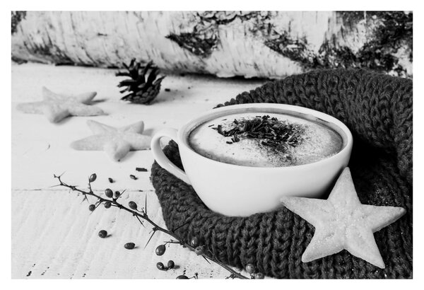 Obraz - Zimné cappuccino (90x60 cm)
