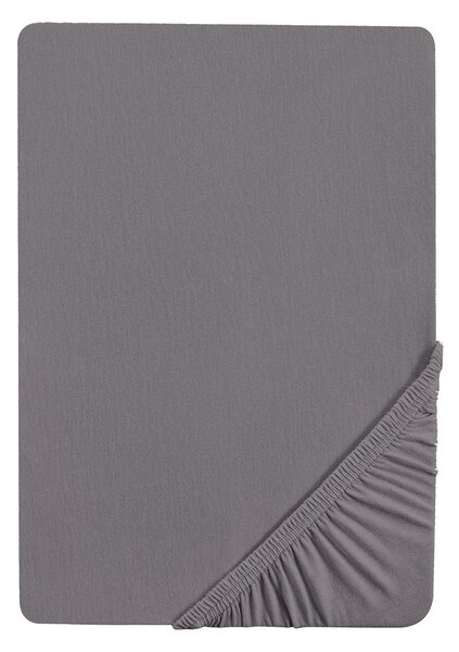 Biberna Napínacia džersejová plachta (140 – 160 x 200 cm, strieborná/sivá) (100227068)