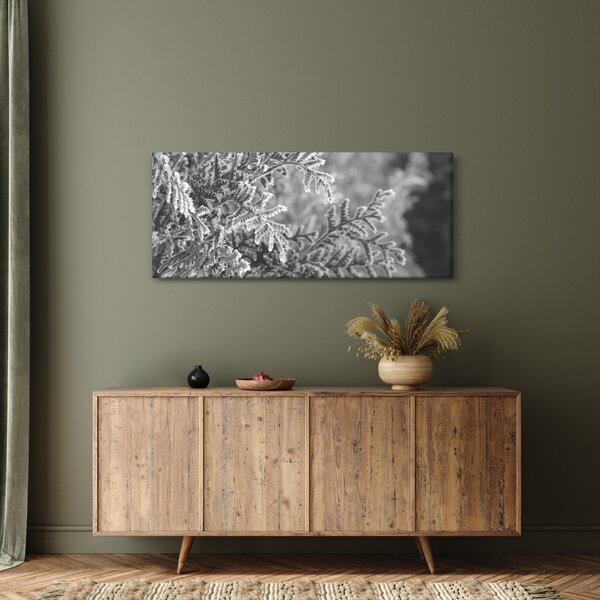 Obraz - Smrekový les (120x50 cm)
