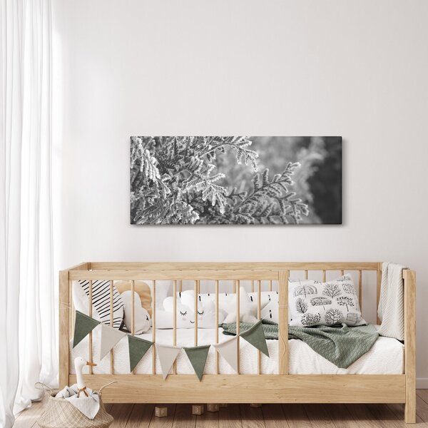 Obraz - Smrekový les (120x50 cm)