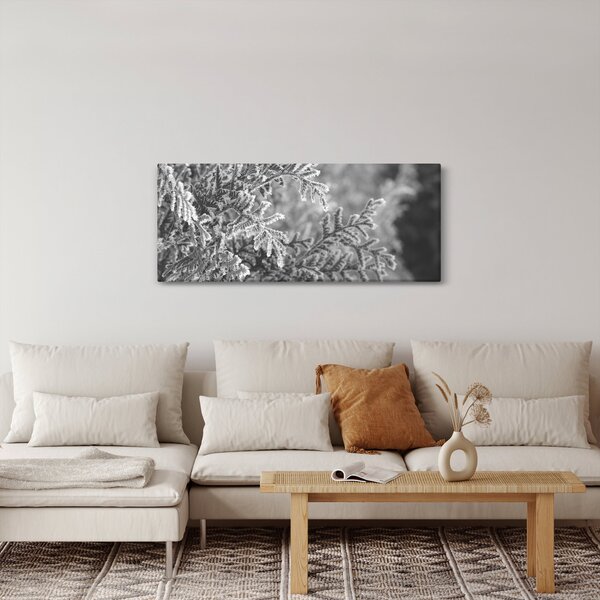 Obraz - Smrekový les (120x50 cm)