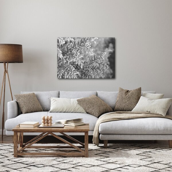 Obraz - Smrekový les (70x50 cm)