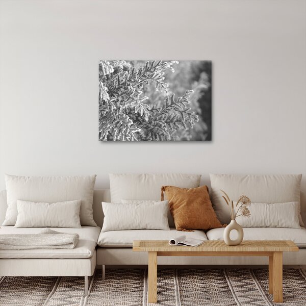 Obraz - Smrekový les (70x50 cm)