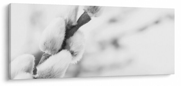 Obraz - Začiatok jari (120x50 cm)