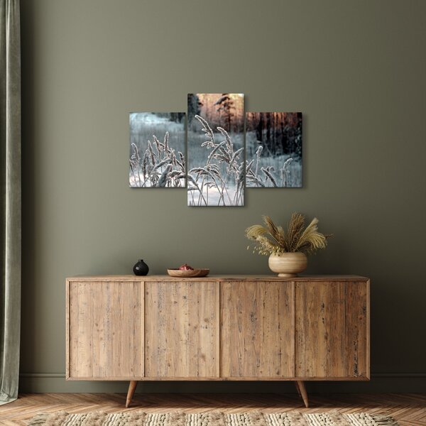 Obraz - Zamrznutá lúka (90x60 cm)