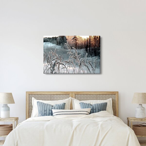 Obraz - Zamrznutá lúka (90x60 cm)