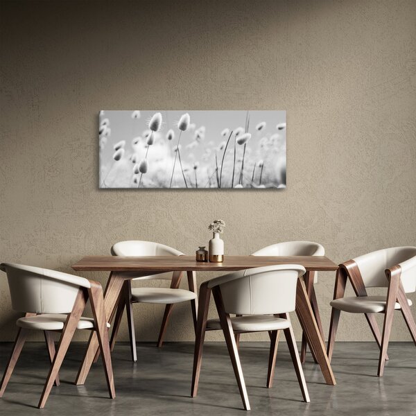 Obraz - Boho bunny tail grass (120x50 cm)