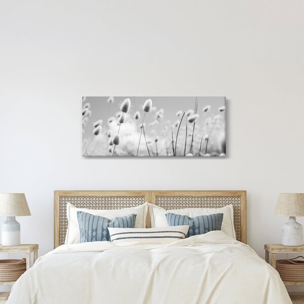 Obraz - Boho bunny tail grass (120x50 cm)