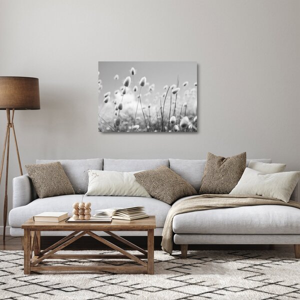 Sklenený obraz - Boho bunny tail grass (70x50 cm)