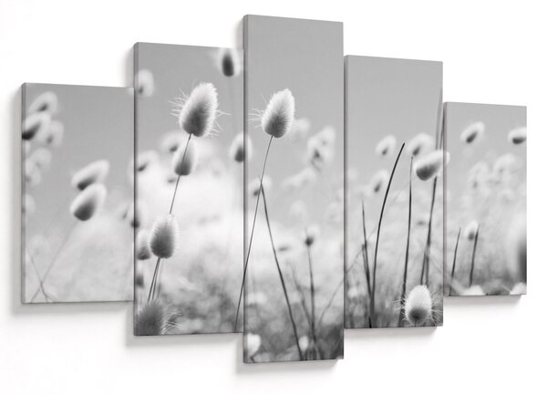 Obraz - Boho bunny tail grass (150x105 cm)