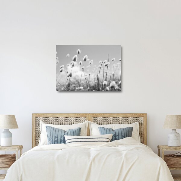 Sklenený obraz - Boho bunny tail grass (70x50 cm)