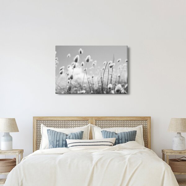 Obraz - Boho bunny tail grass (90x60 cm)