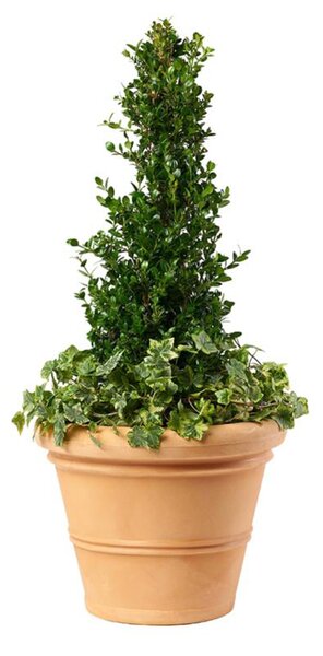 BAMA Kvetináč Chianti 50 cm BAMA