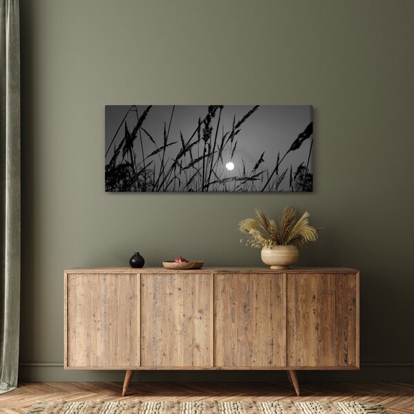 Obraz - Lúka so západom slnka (120x50 cm)