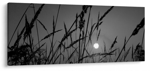 Obraz - Lúka so západom slnka (120x50 cm)