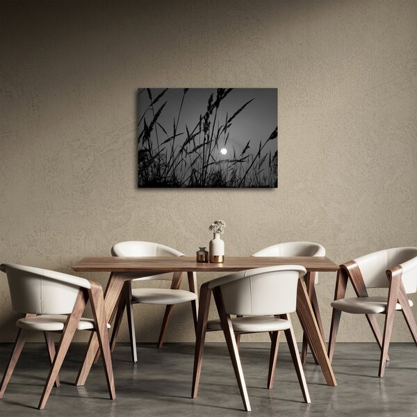 Obraz - Lúka so západom slnka (70x50 cm)