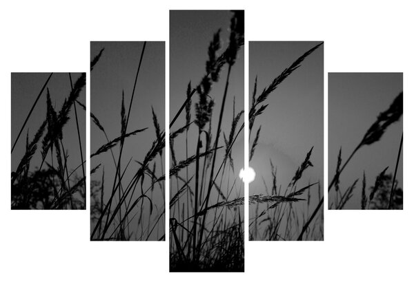Obraz - Lúka so západom slnka (150x105 cm)