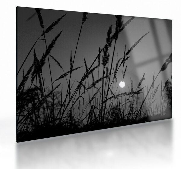 Sklenený obraz - Lúka so západom slnka (70x50 cm)