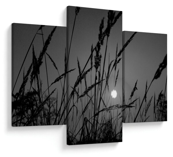 Obraz - Lúka so západom slnka (90x60 cm)