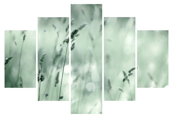 Obraz - Zelená lúka (150x105 cm)