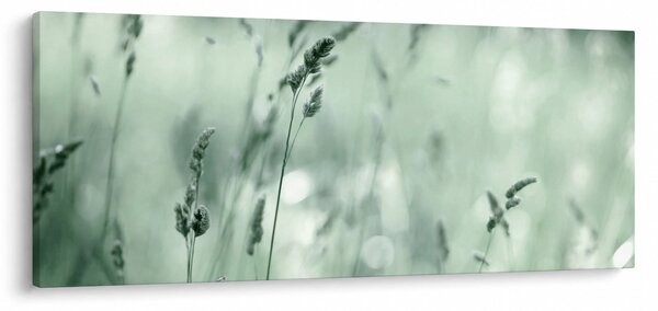 Obraz - Zelená lúka (120x50 cm)