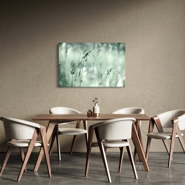 Obraz - Zelená lúka (90x60 cm)