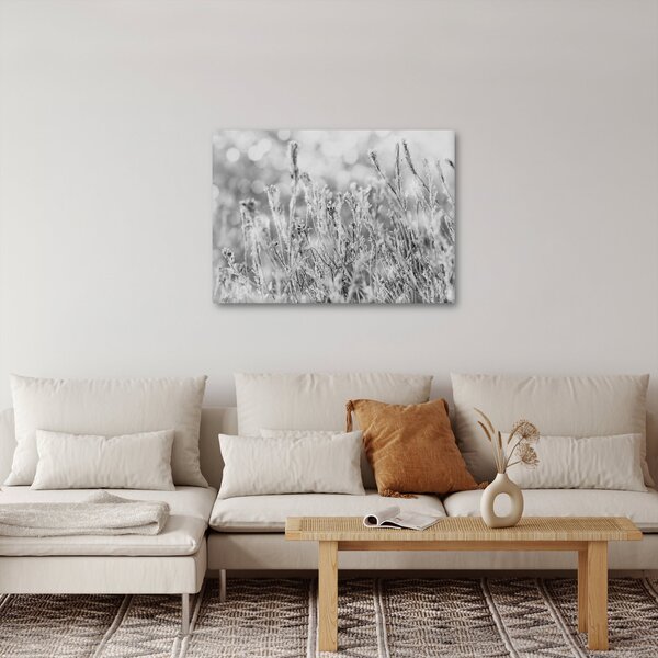 Obraz - Chladná zima (70x50 cm)