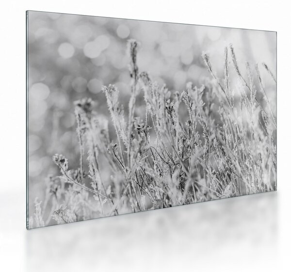 Sklenený obraz - Chladná zima (70x50 cm)