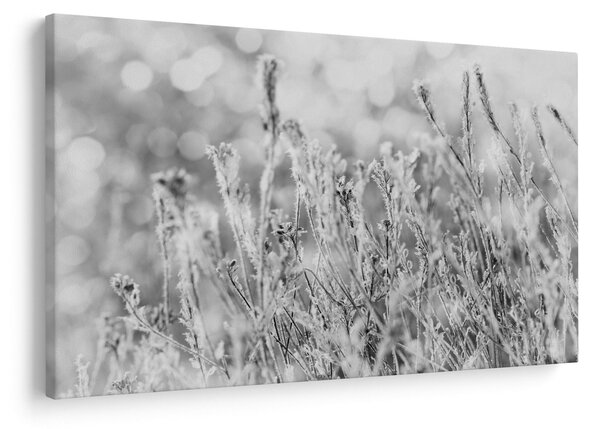 Obraz - Chladná zima (90x60 cm)