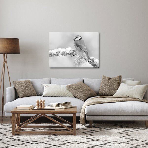 Obraz - Vtáčik na vetve (70x50 cm)