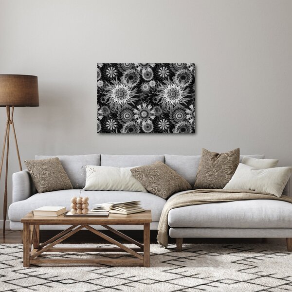 Obraz - Čiernobiele bodliaky (70x50 cm)