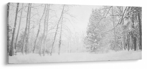 Obraz - Drevené mólo v zime (120x50 cm)