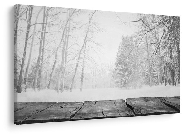 Obraz - Drevené mólo v zime (90x60 cm)