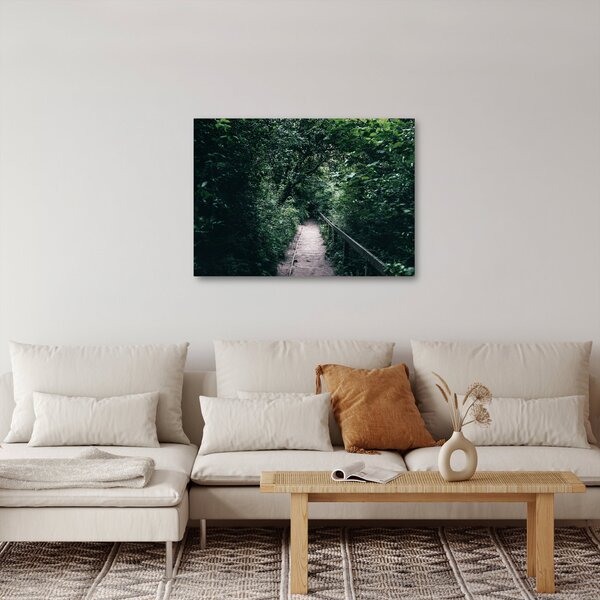 Obraz - Cesta lesom (70x50 cm)