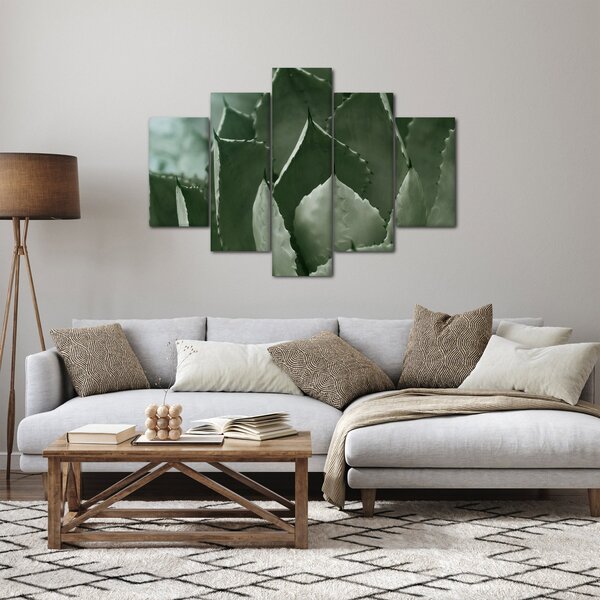 Obraz - Zelená agáve (150x105 cm)