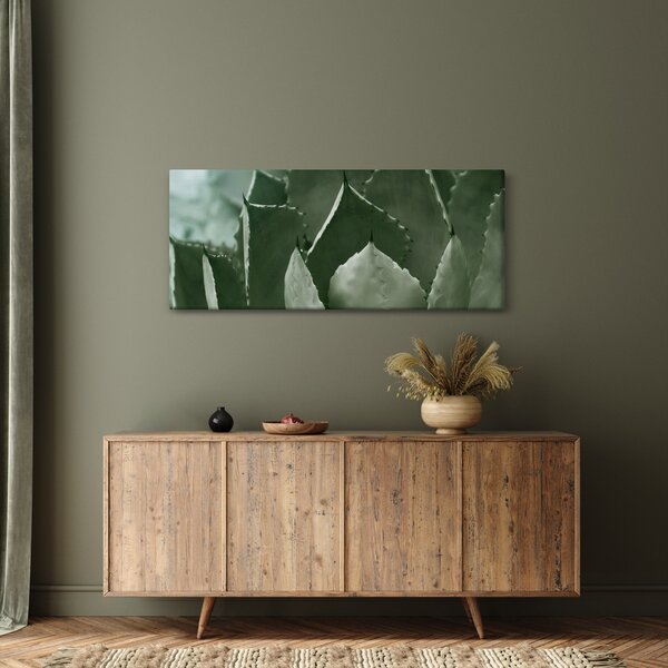 Obraz - Zelená agáve (120x50 cm)