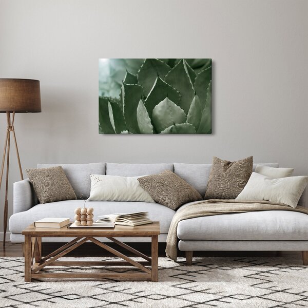 Obraz - Zelená agáve (90x60 cm)