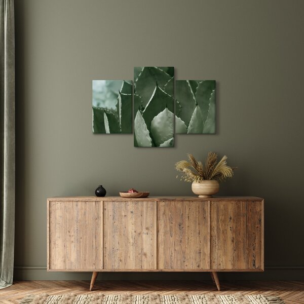 Obraz - Zelená agáve (90x60 cm)