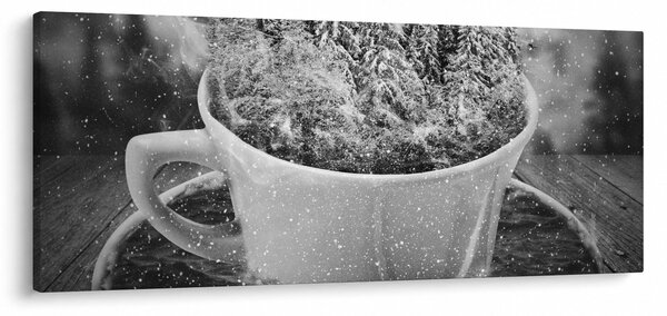 Obraz - Šálka prírody (120x50 cm)