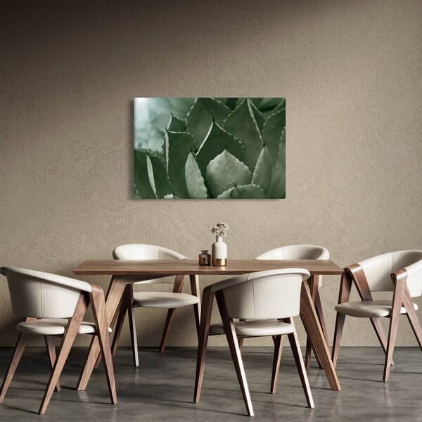 Obraz - Zelená agáve (90x60 cm)