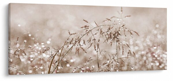 Obraz - Lúka v hnedých tónoch (120x50 cm)