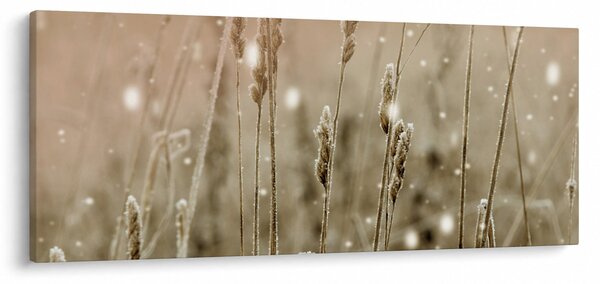 Obraz - Harmonická lúka (120x50 cm)