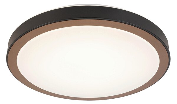 STROPNÉ LED SVIETIDLO, 39/8 cm Novel - Interiérové svietidlá