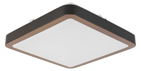 STROPNÉ LED SVIETIDLO, 37/37/8 cm Novel - Interiérové svietidlá